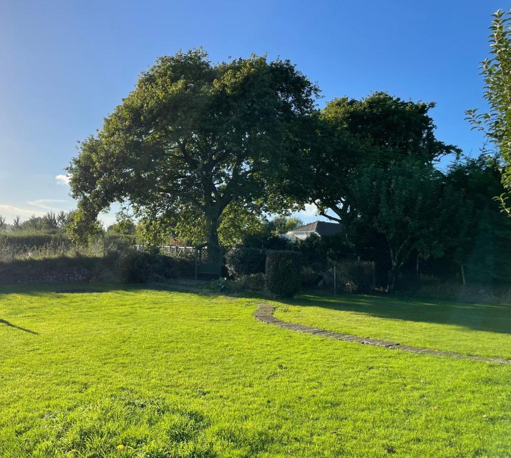 The Garden Room - A Cosy Country Stay In Cornwall Callington Extérieur photo